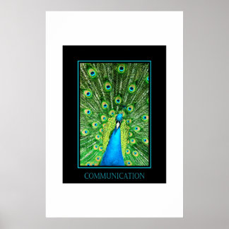 Poster Communication