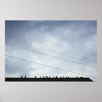 Poster Communications