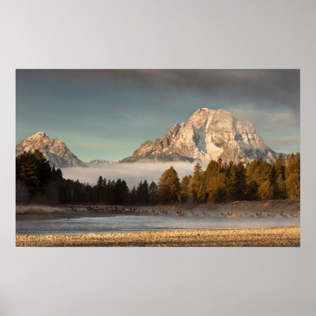 Poster Commute du matin (Devant)