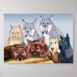 Poster Compagnons - Couleur