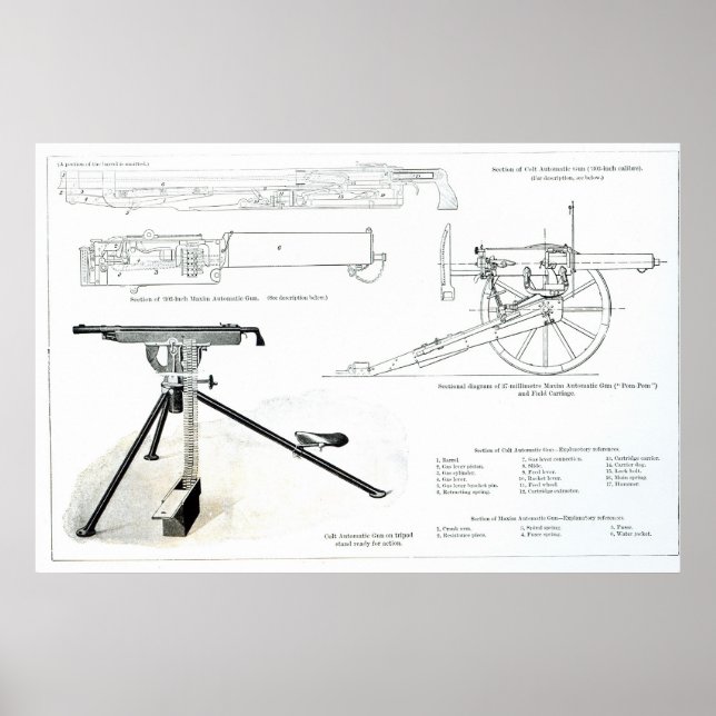 Poster Comparaison du pistolet automatique de Colt (Devant)