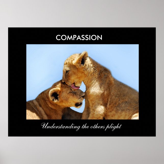 Poster Compassion avec les petits orphelins (Devant)