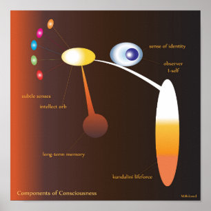 Poster Composants de conscience