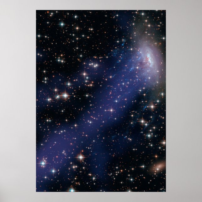 Poster Composite de Hubble-Chandra d'ESO137-001 (Devant)