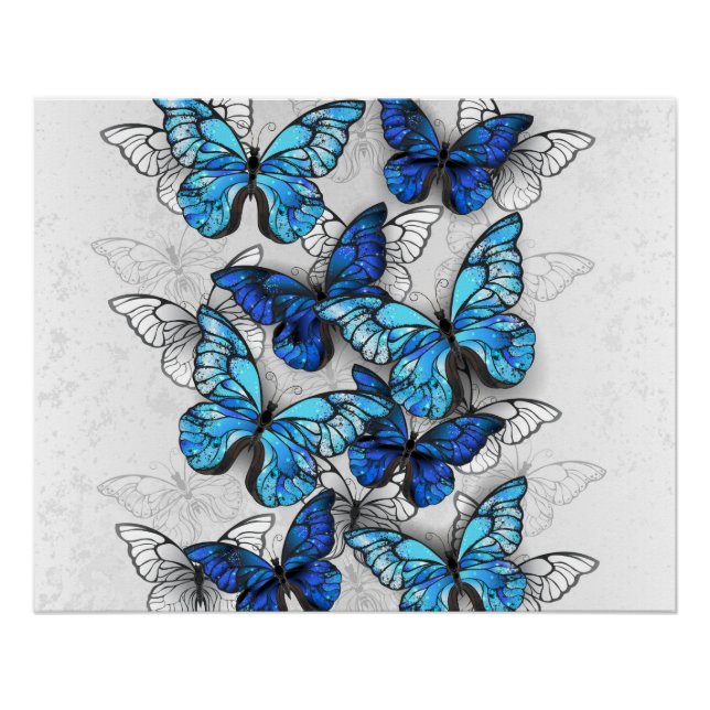Poster Composition des White and Blue Butterflies (Devant)