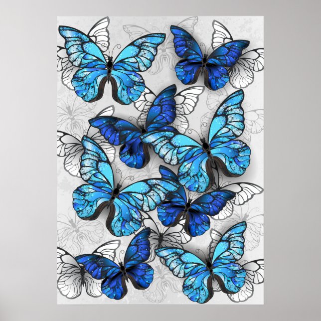 Poster Composition des White and Blue Butterflies (Devant)