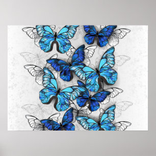 Poster Composition des White and Blue Butterflies