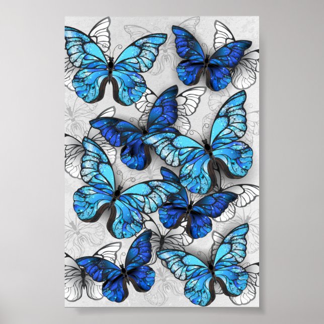 Poster Composition des White and Blue Butterflies (Devant)