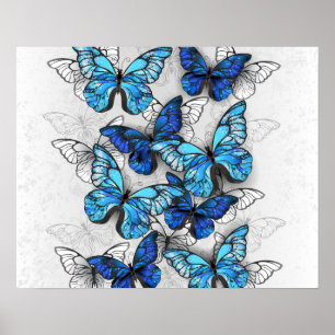 Poster Composition des White and Blue Butterflies