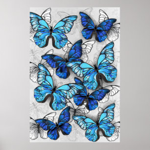 Poster Composition des White and Blue Butterflies