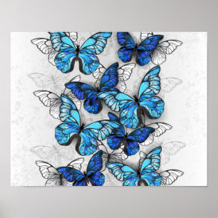 Poster Composition of White and Blue Butterflies