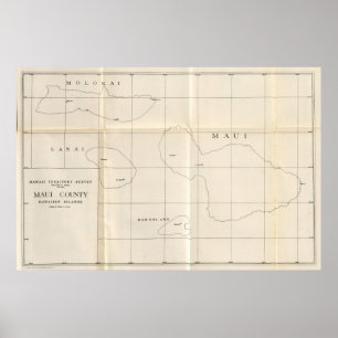 Poster Comté de Maui, Hawaii