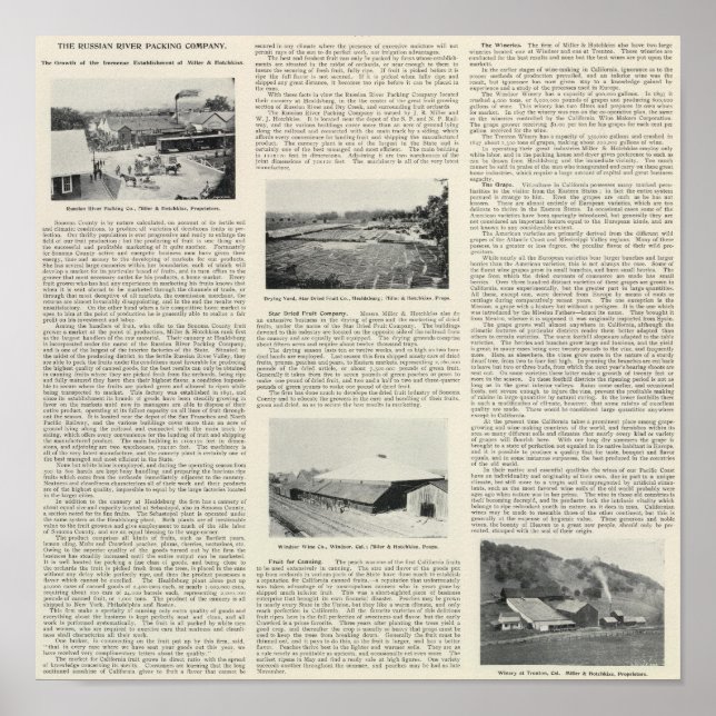 Poster Comté de Sonoma, Californie (Devant)