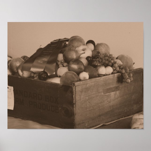 Poster Comté Fair Bleu Ruban Premier Prix Fruit À Sepia (Devant)