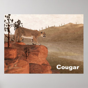 Poster Concentration - Cougar