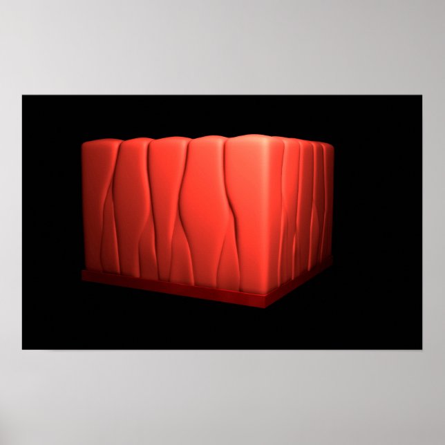 Poster Concept D'Épithélium Columnaire Pseudostratifié (Devant)