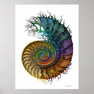Poster Concept Fossil Ammonite dans des couleurs d'encre