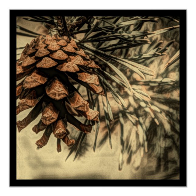 Poster Conception de cône de pin rustique (Devant)
