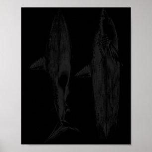 Poster Conception de dérive de planche de surf requin coo