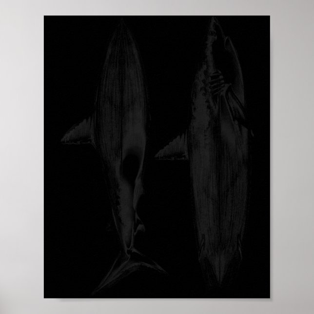 Poster Conception de dérive de planche de surf requin coo (Devant)