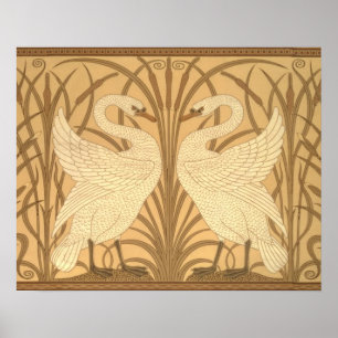 Poster Conception de papier peint de cygne