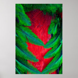Poster Conception de plume de Quetzal resplendissant
