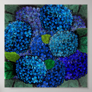 Poster Conception florale, copie bleue d'hortensia