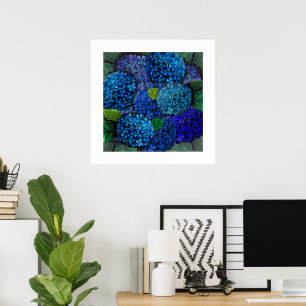 Poster Conception florale Fleur d'hortensia bleue