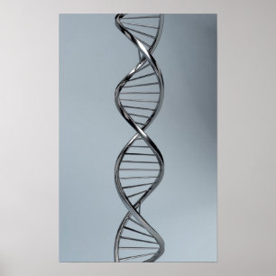 Poster Conceptual Image Of DNA 2