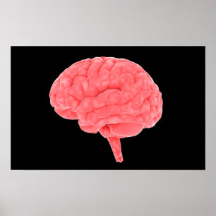 Poster Conceptual Image Of Human Brain 4