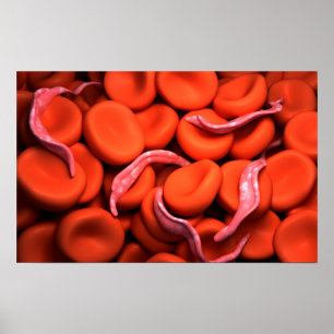 Poster Conceptual Image Of Trypanosoma 3