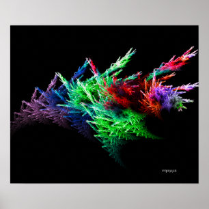 Poster Concombre de mer 2