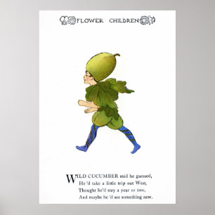 Poster Concombre sauvage