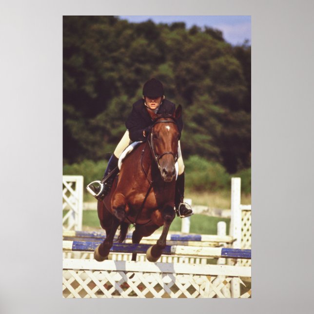 Poster Concours de saut à cheval - (Devant)
