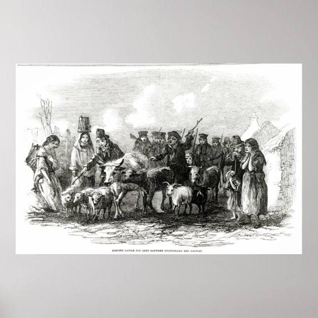 Poster Conduite de bétail à louer (Devant)