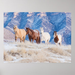 Poster Conduite de chevaux de cow-boy au ranch Hideout