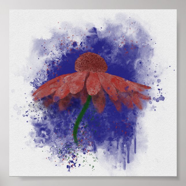 Poster Coneflower (Devant)