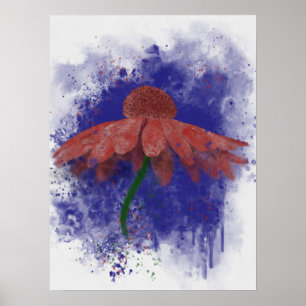 Poster Coneflower