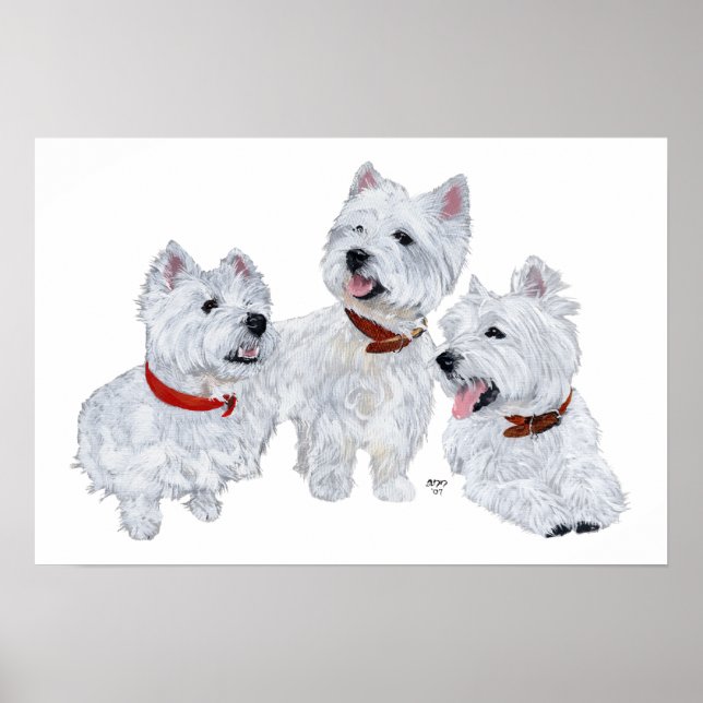 Poster Conférence Westie (Devant)