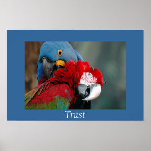 Poster Confiance