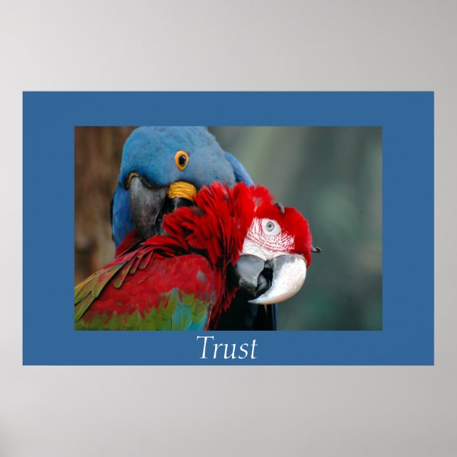 Poster Confiance (Devant)