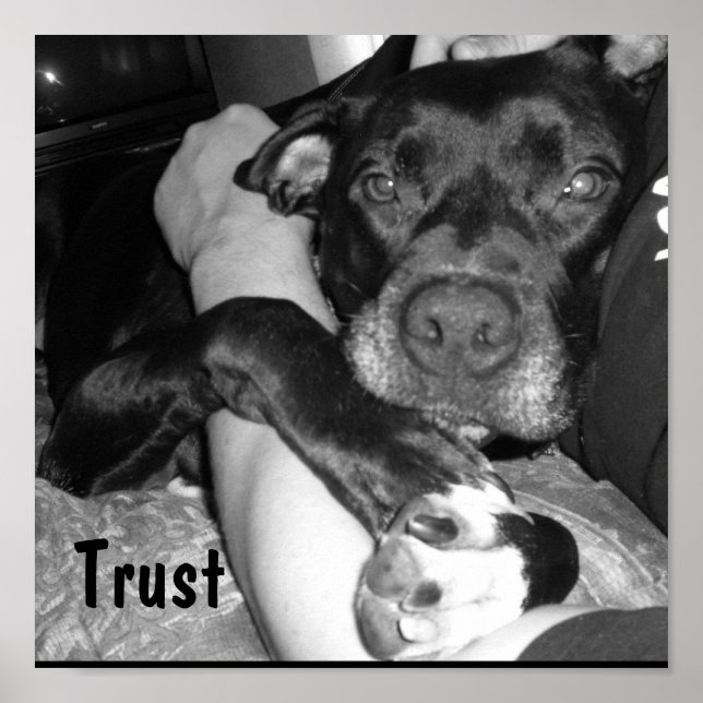 Poster Confiance animale (Devant)