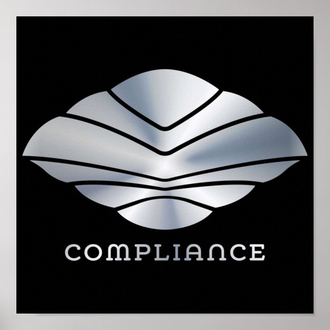 Poster Conformité MAX du vol du Navigateur (Devant)