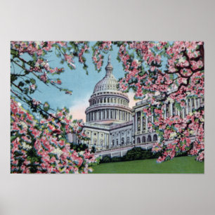 Poster Congrès Capitol Hill Cherry Blossom