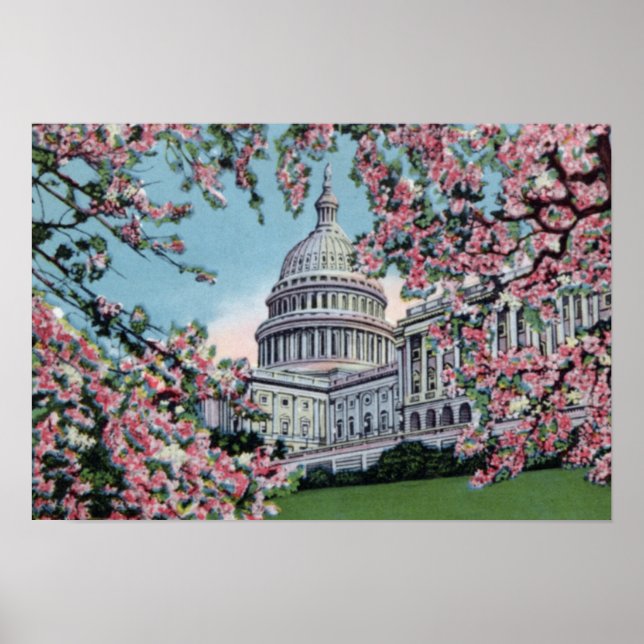 Poster Congrès Capitol Hill Cherry Blossom (Devant)