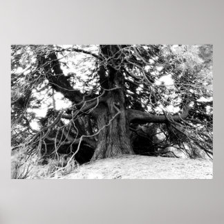 Poster Connaissances