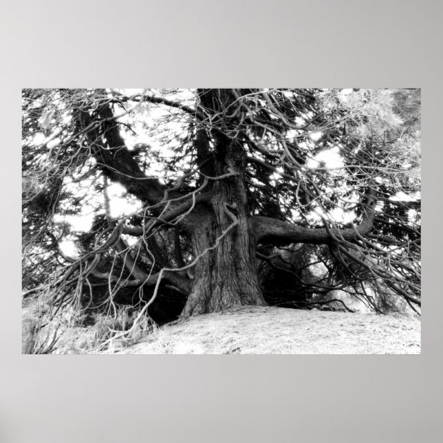 Poster Connaissances (Devant)