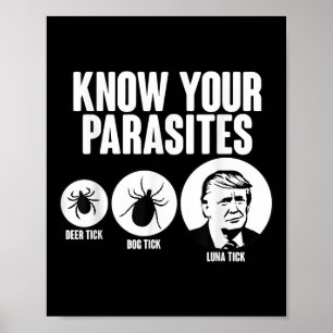 Poster Connaissez Vos Parasites Deer Tick Chien Tick Tick