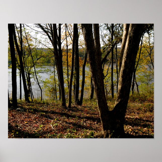 Poster Connecticut (Devant)