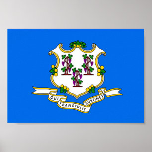 Poster Connecticut Flag